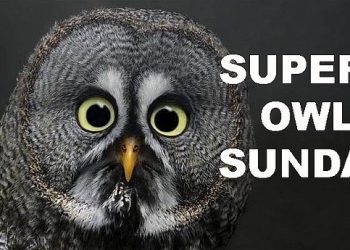 SSU Podcast 2.4.21 The Supberb Owl are you not entertained?